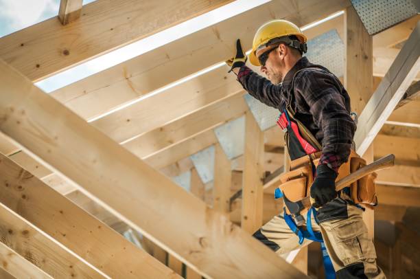Best Roof Gutter Cleaning  in South Boston, VA