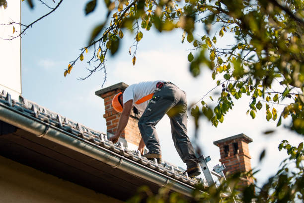 Best Roof Inspection Near Me  in South Boston, VA