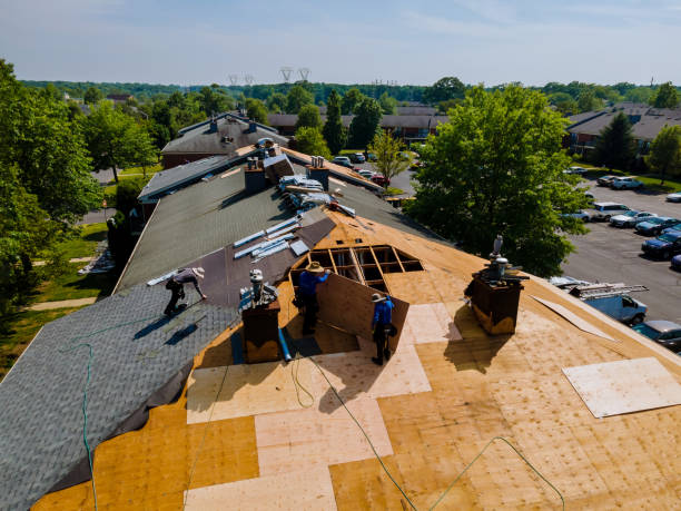 Best Roofing Contractor Near Me  in South Boston, VA