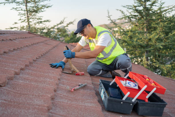 Best Storm Damage Roof Repair  in South Boston, VA
