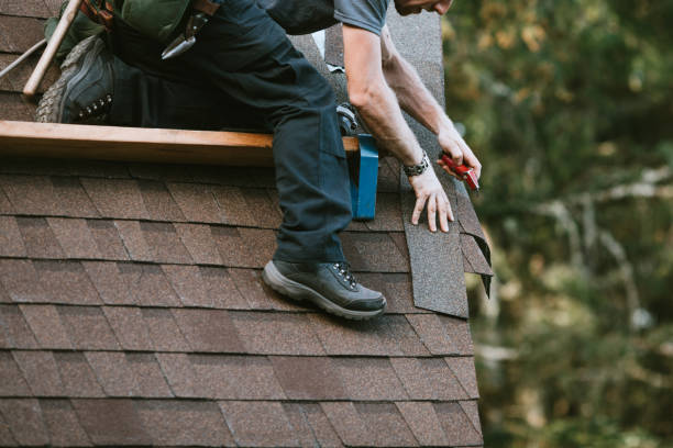 Best Roof Gutter Cleaning  in South Boston, VA